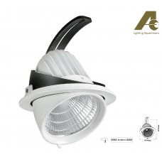 AEC LED Adjustable Downlight X5004D COB